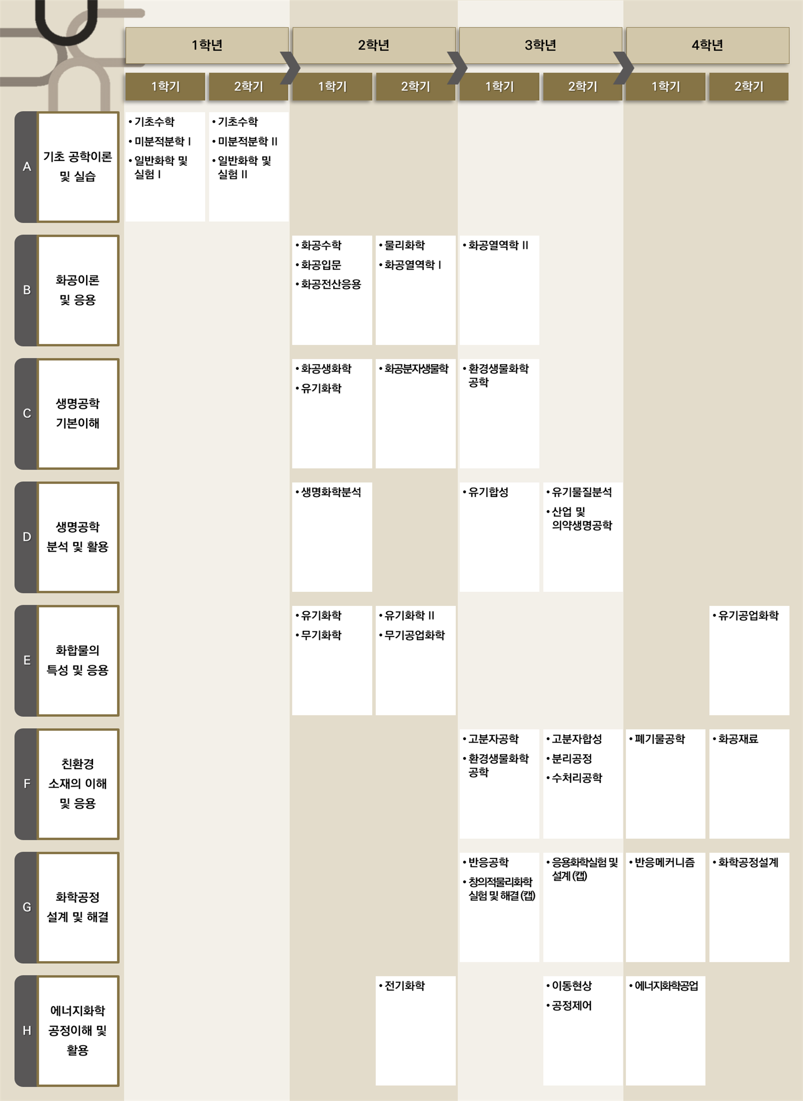 교육과정 로드맵
